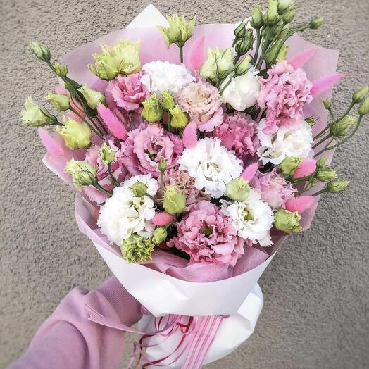 Eustoma