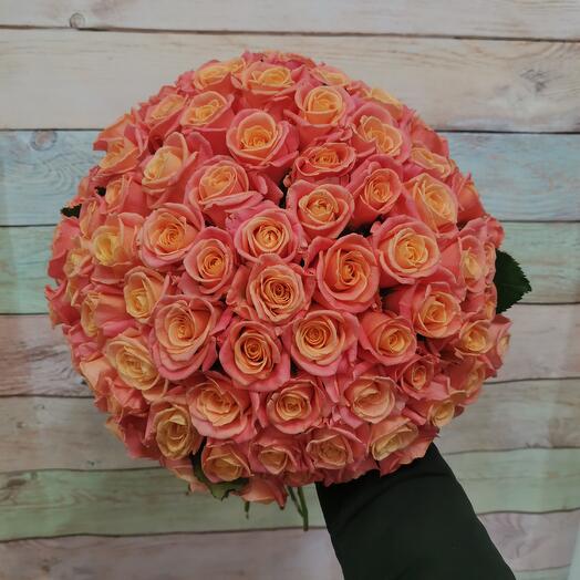 101 Miss Piggy's roses