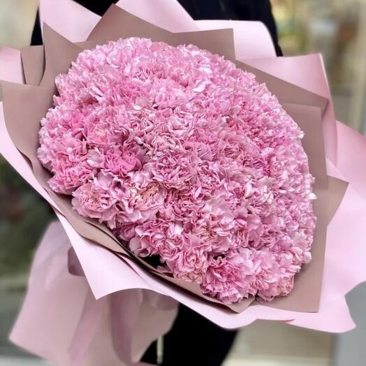 Safari of carnations