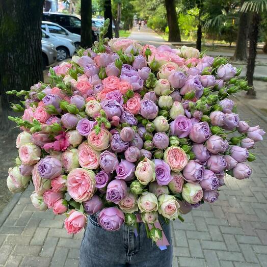 Lilac tenderness