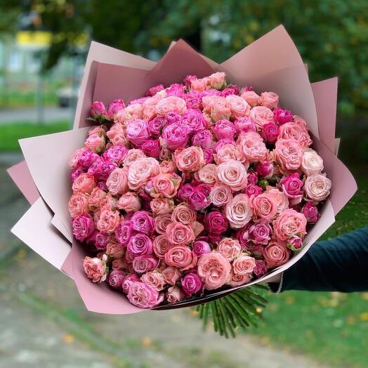M.B Roses 51