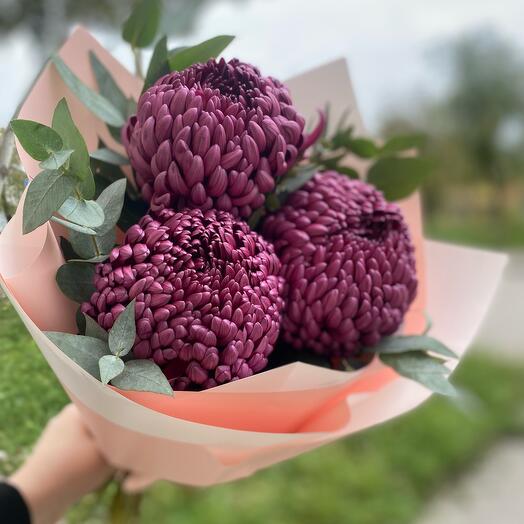 Хризантема