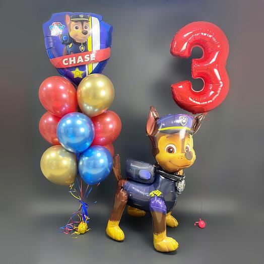 Balloons for a boy Scheniyachy Patrol Chase