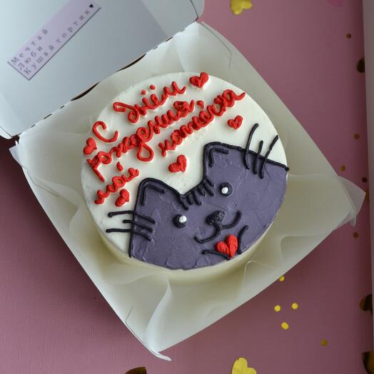 Bento cake for a loved one with a cat