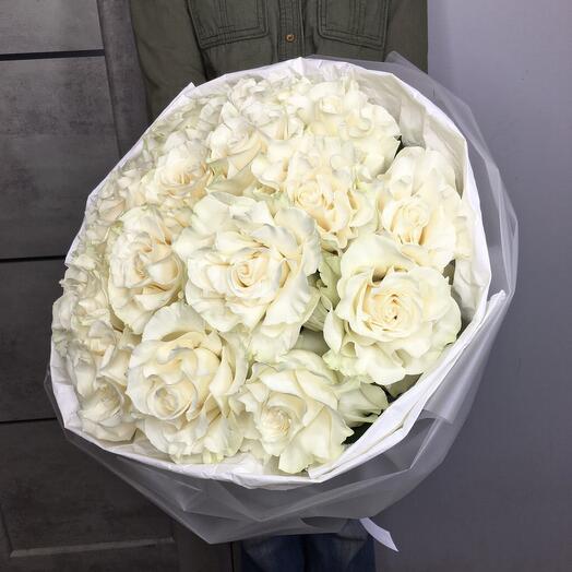 Rosas francesas