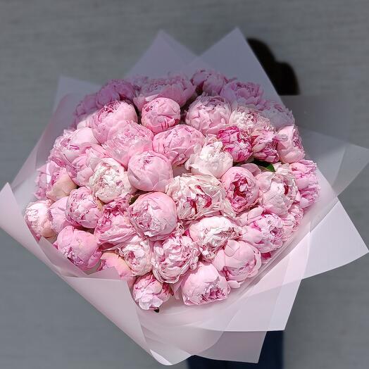Пионы WOW 🌸 51 шт
