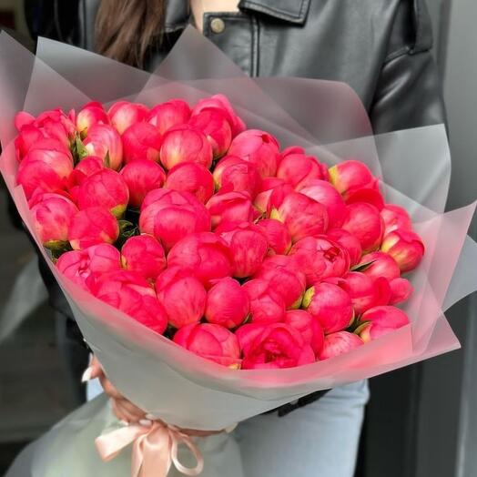 Pions
