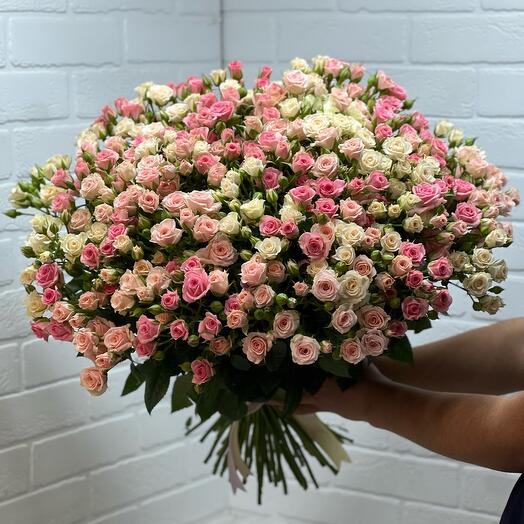 Mezcla de rosa arbusto