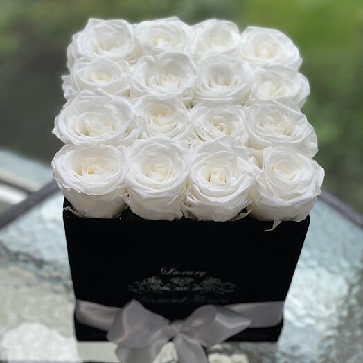 Palm Beach white