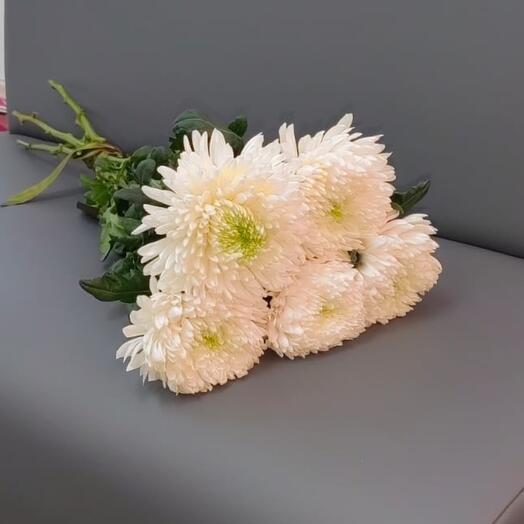 Одноголовые хризантемы 5шт
