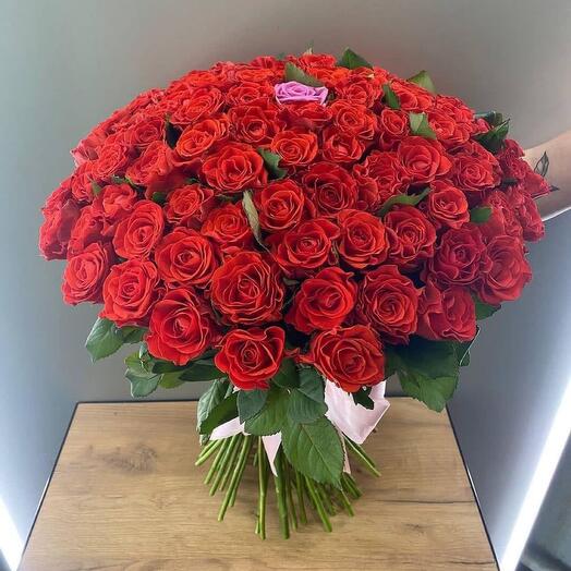 100 and 1 Rose