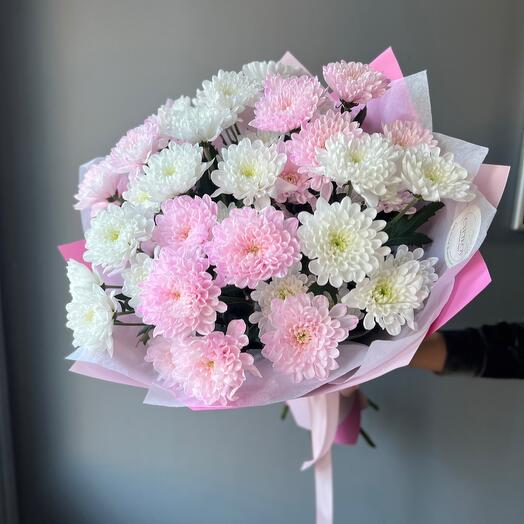 Bush chrysanthemum pink and white