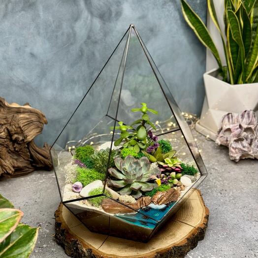 Drop XL with succulents and lake