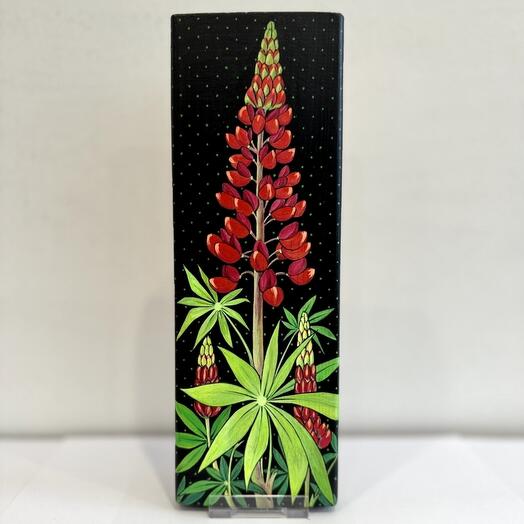 Красный люпин