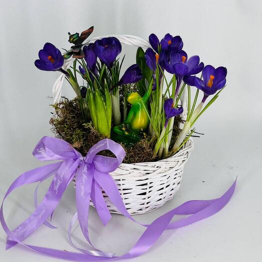 Пасха Домашний садик цветов первоцветов крокусов с гиацинтами