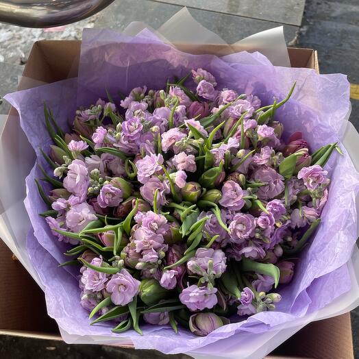 Tulips with oxptalum