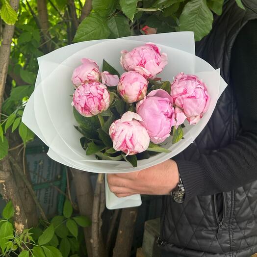 Пион 7шт