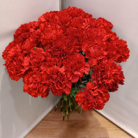 Гвоздика красная Голландия  40 штук