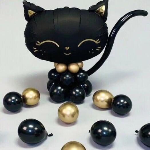 Черный котенок