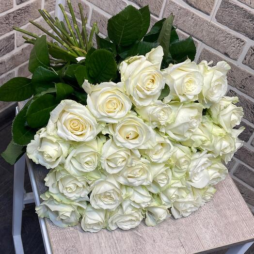 Rosas blancas