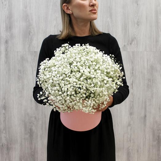 Шляпная коробка из белоснежной гипсофилы