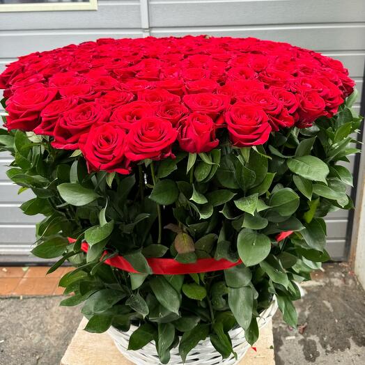 Корзина 201 розы 🌹 🔥😍