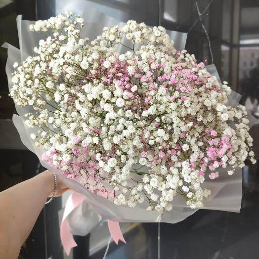 Gypsophila aerial