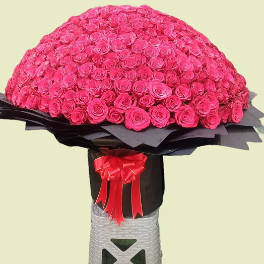 Luxurious bouquet of 500pcs roses