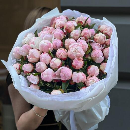 51 пион