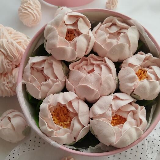 Набор из зефирных пионов