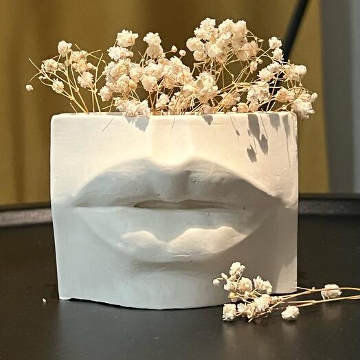 Florero/organizador Labios