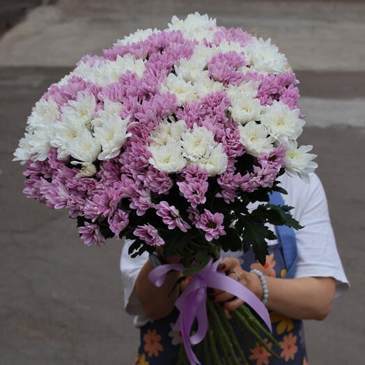 25 нежных хризантем