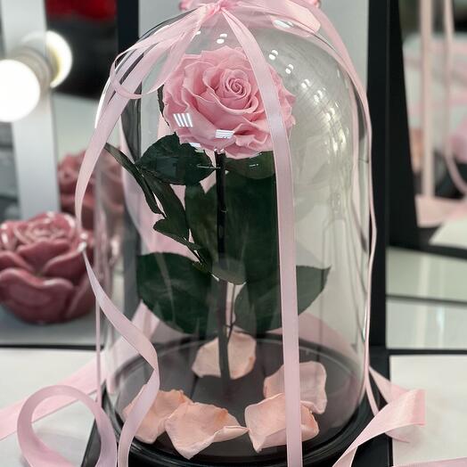 A soft pink Rose in a Lux flask in a gift box with a Wow effect of 32 cm
