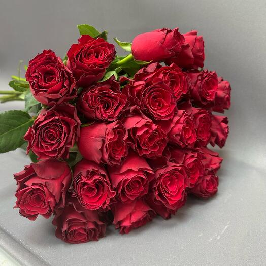 Роза Радос 25 шт