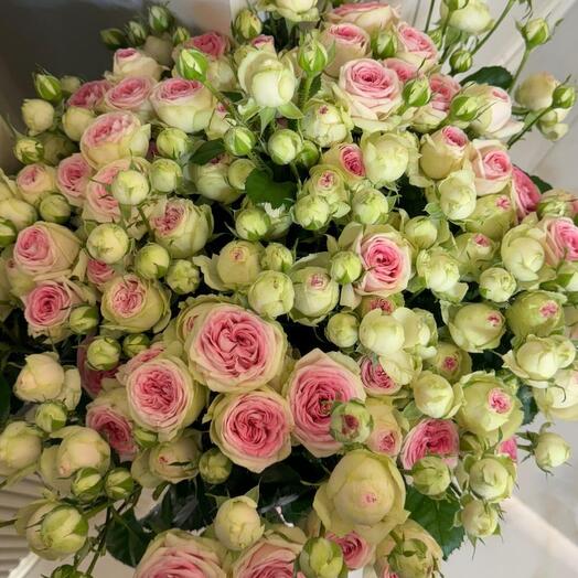 La Ternura De Los Jardines De Rosas