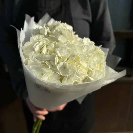 Букет из 3 белых гортензий в упаковке