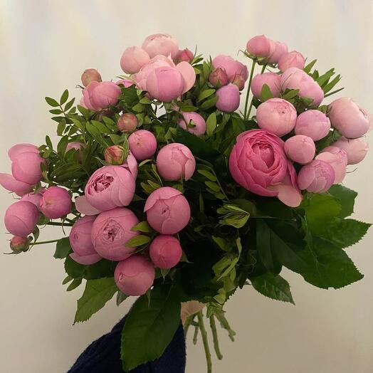 Peony-shaped bush roses