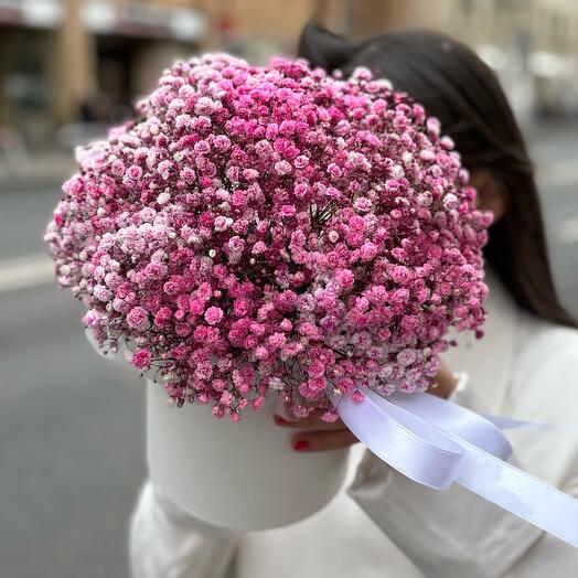 Коробочка из розовой гипсофилы