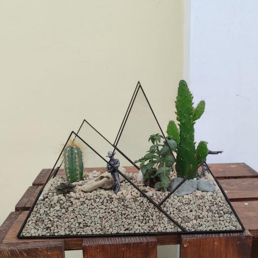 Дикий дикий запад