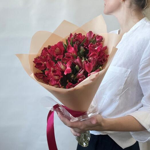 Стойкая альстромерия