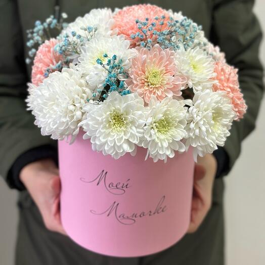 Коробка хризантем «Моей Мамочке»