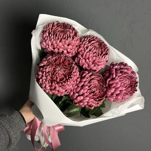 Моно букет хризантемы БИГУДИ👩🏽🦱