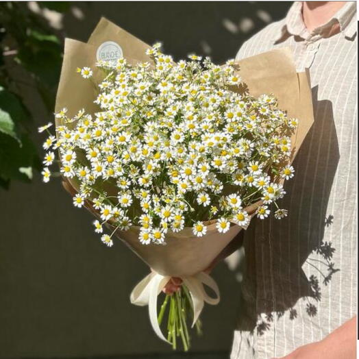 Букет «Ромашки» из 9 солнечных матрикарий 💛🌿