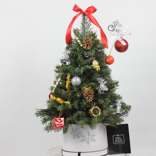 Mini Christmas Tree With Decoration