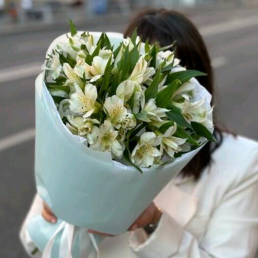 Стойкая альстрамерия