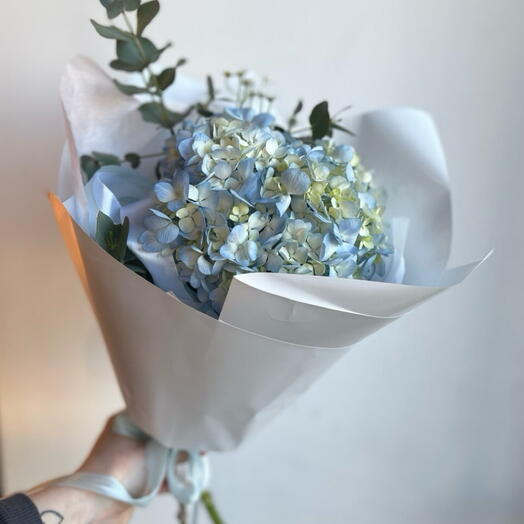 Un cumplido de Hortensia azul y manzanilla 🌼