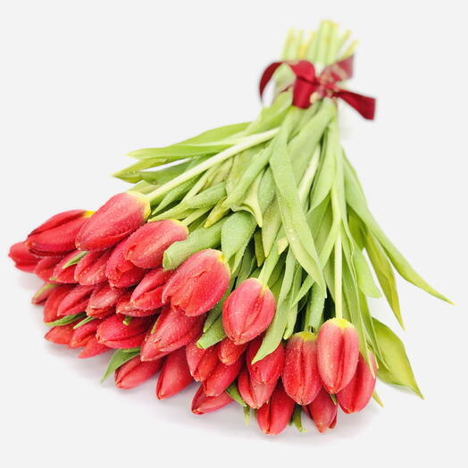 13 red tulips