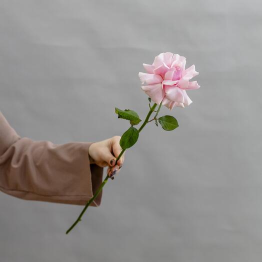 Pink lace rose, from 5 pieces