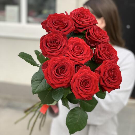 Красные розы 9 шт