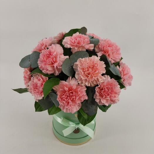 Коробка из 17 розовых гвоздик